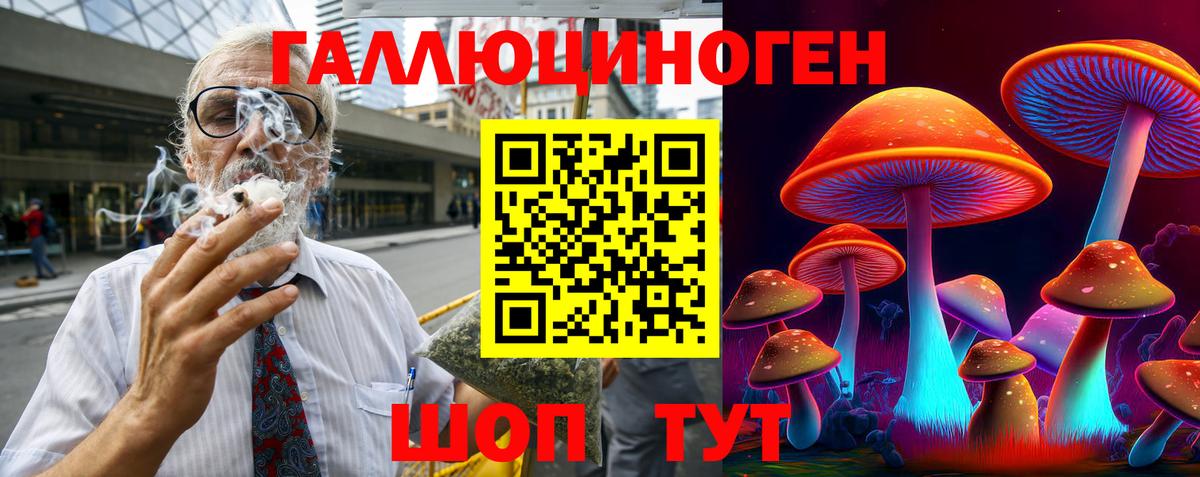 Куйбышев  где продают наркотики  Вход с VPN  Галлюциногенные грибы Psilocybe  Псилоцибиновые грибы GOLDEN TEACHER 